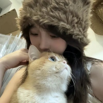 一个叫欧维的男人决定去死